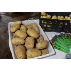 Nova Secretaria de Agricultura e Pecuária de Campo Largo